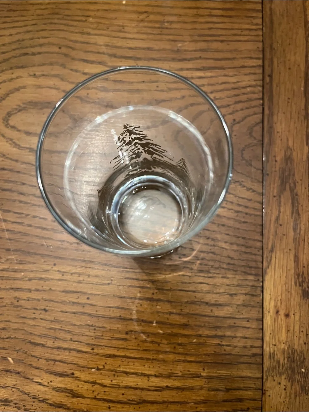 Set of 6 Golden Pines Tumblers